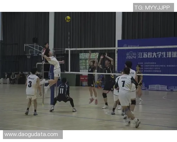 南京排球队的节奏与魅力探秘：从训练到比赛的全景呈现