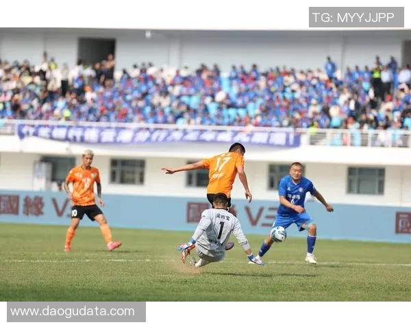 南京篮球队现状分析与未来展望聚焦球队表现与发展潜力