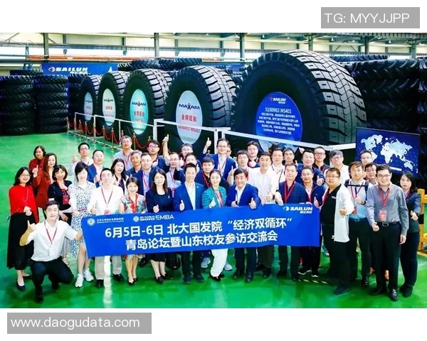 南京攀岩队比赛经验分析与表现评估的深度研究与探讨 南京攀岩队比赛经验分析与表现评估的深度研究与探讨