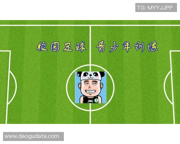 南京足球队的控球策略分析与比赛表现的得失评估 南京足球队的控球策略分析与比赛表现的得失评估