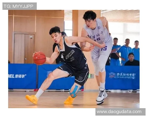 杭州篮球队的奋斗历程与荣耀时刻全景回顾